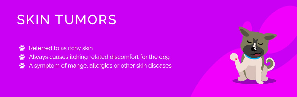 Skin Problems in Dogs 