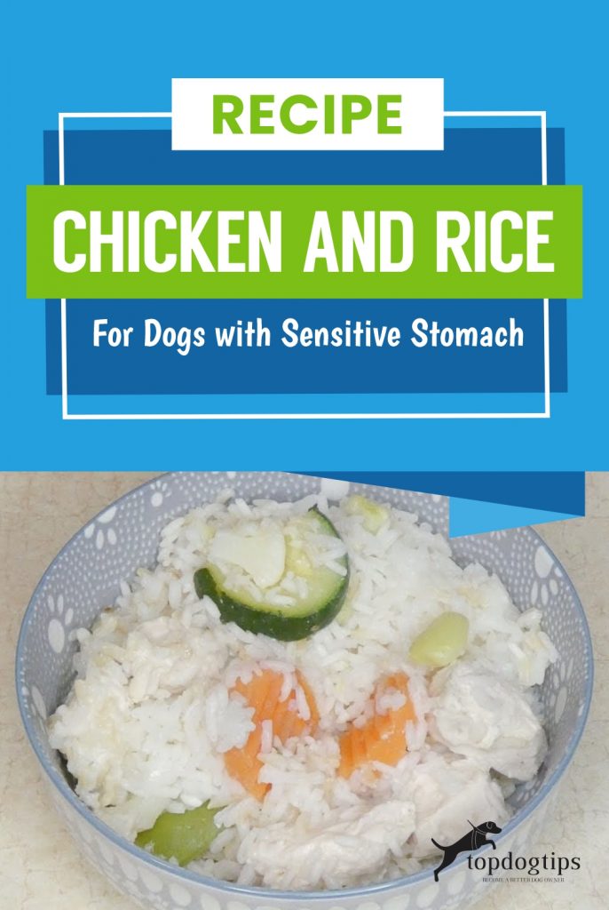 Chicken and Rice Recipe for Dogs with Sensitive Stomach