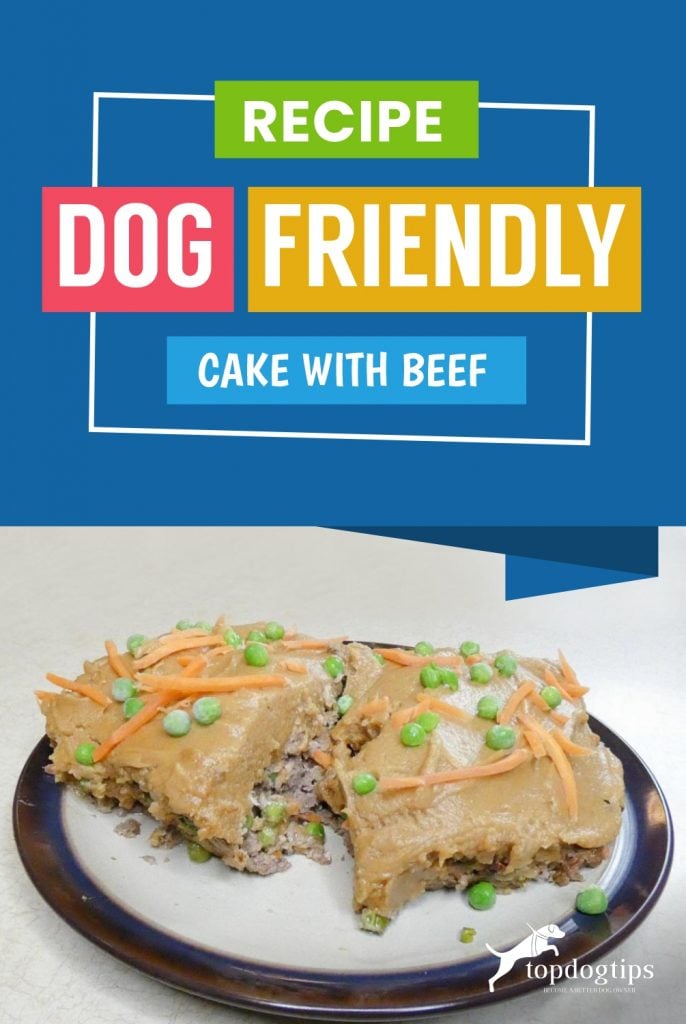 Recipe- Dog Friendly Cake with Beef