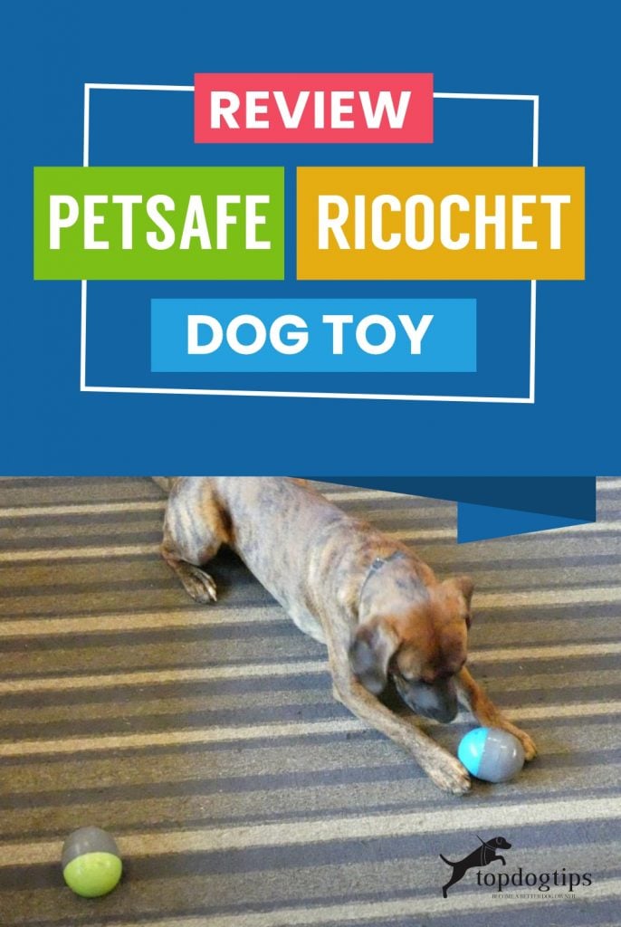 Review- PetSafe Ricochet Dog Toy