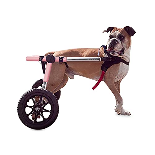 Walkin' Wheels Dog Wheelchair - for Large Dogs...