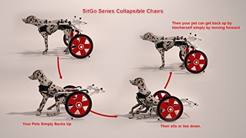 Best Friend Mobility SitGo Dog Pet Wheelchair...