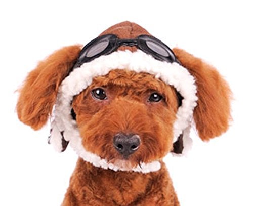 Dogo “Aviator” Hat for Dogs