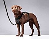 Kurgo Go-Tech Everyday Reflective Dog Harness