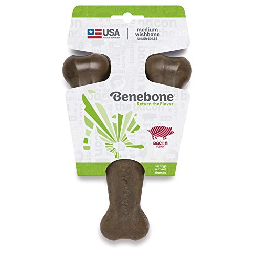 Benebone Bacon Flavored Wishbone Chew Toy