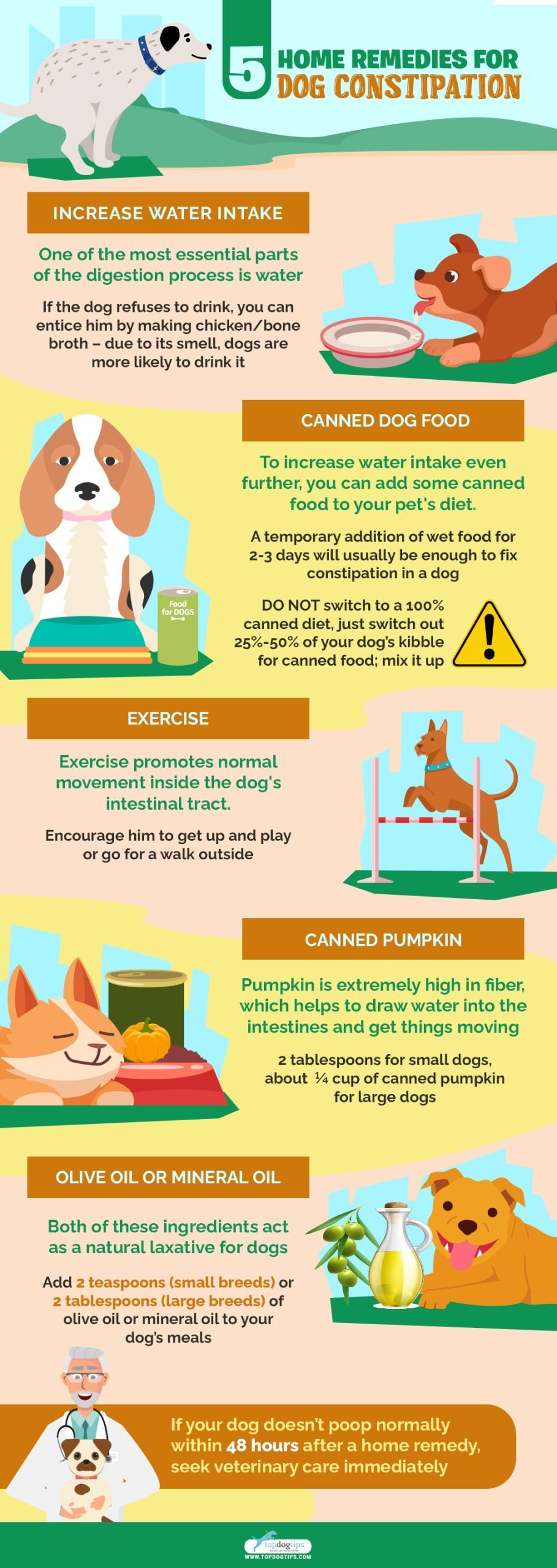 Home Remedies for Dog Constipation 