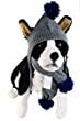 best winter hats for dogs