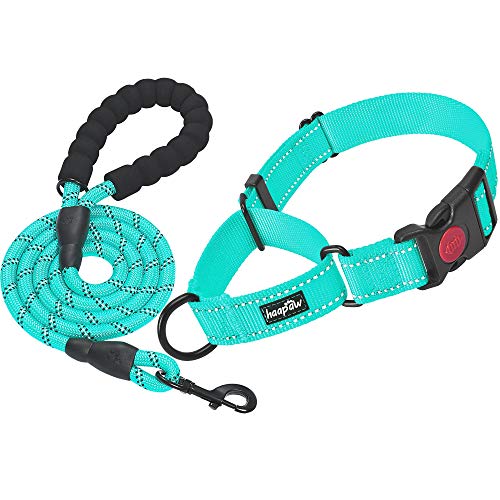 haapaw 2 Packs Martingale Dog Collar with Quick...