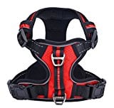 Pupteck Front Range No-Pull Dog Harness