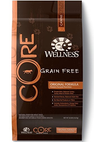Wellness Core Natural Grain Free
