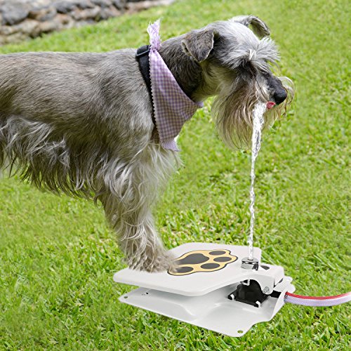 iMounTEK Hygienic Dog/Pet Geyser Water Fountain...