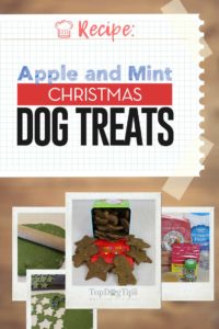 Apple and Mint Christmas Dog Treats Recipe