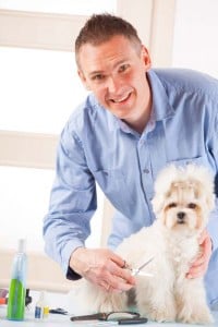 Are Dog Grooming Schools Worth It