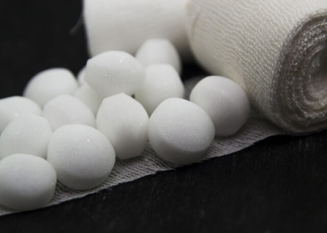 are mothballs safe for dogs