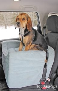 The Necessity of Pet Car Seats