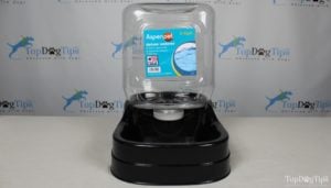 Aspenpet Gravity Waterer for Dogs The best dog water fountain for traveling