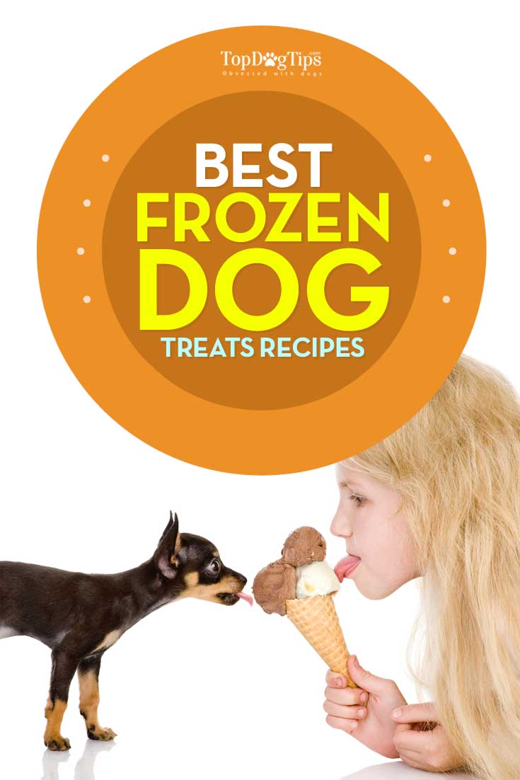Best Frozen Dog Treats Recipes for Hot Summer Days