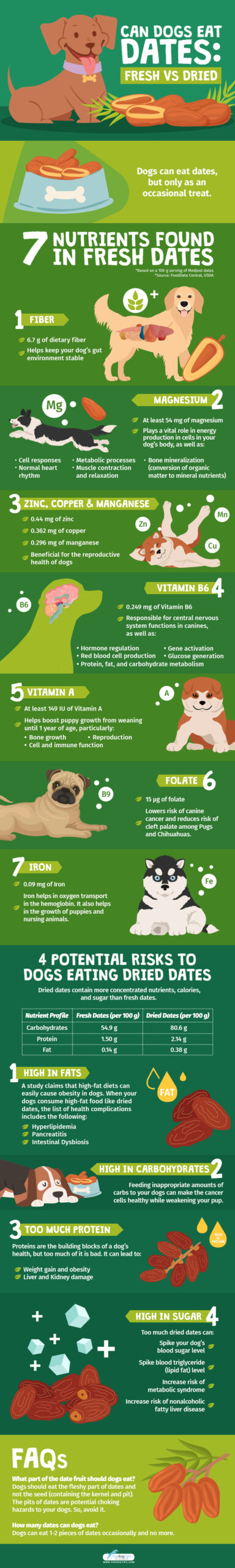 Can Dogs Eat Dates - Fresh vs Dried Infographics