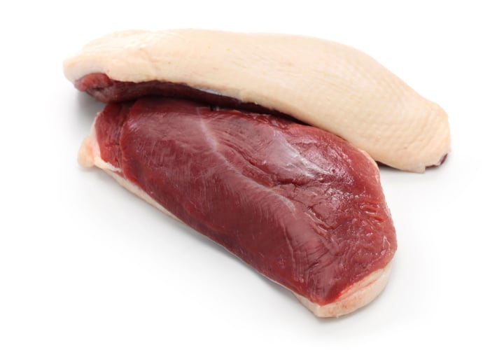 Can Dogs Eat Duck? Raw Duck Meat
