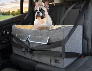 Petsfit Dog Car Seat, Pet Travel Car Booster Seat with Safety Belt, Washable Double-Sided Cushion and Storage Pocket for Large or Medium Dogs, Large