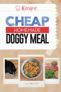 Cheap Homemade Dog Food Meal Recipe