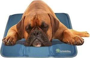 Dog Cooling Mat by The Green Pet Shop