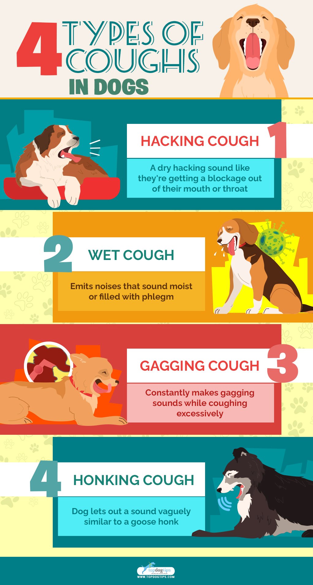 Coughing, Gagging and Choking in Dogs