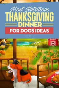 Creative Thanksgiving Dinners for Dogs