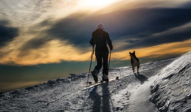 Dog Hiking Gear Must-Haves - What You Need When Hiking with Dogs