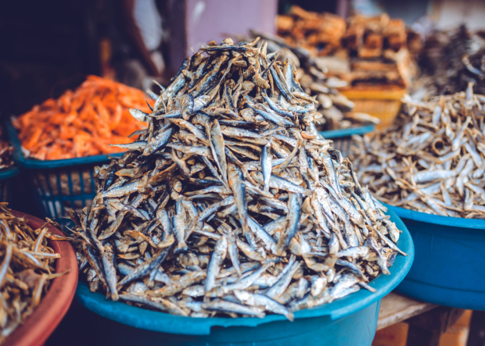 Dried fish in the market--can dogs eat dried fish?