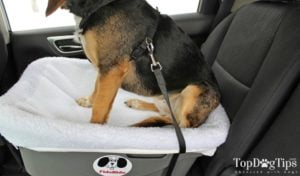 My beagle Molly testing the Fido Rido seat.