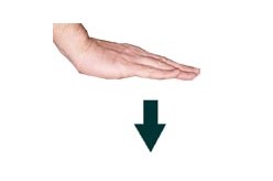 Hand sign 2 lie down