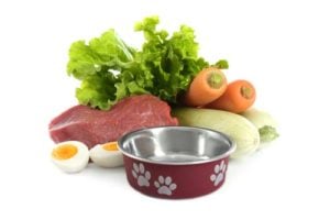 Homemade Dog Food for Cushings Disease