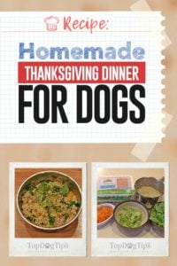 Homemade Thanksgiving Dinner for Dogs Recipe