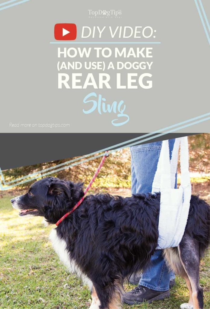 How to Make a Simple DIY Rear Leg Sling for Dogs