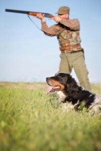 Hunting with dogs supplies