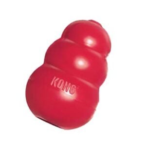 KONG Classic Dog Toy for Shih Tzus