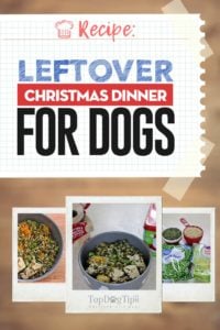 Leftover Christmas Dinner for Dogs Recipe