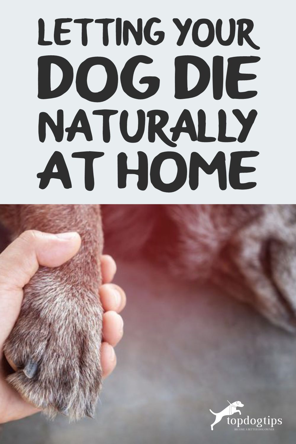  Dog Die Naturally 