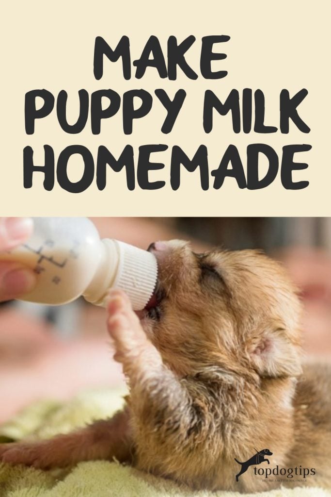 Puppy Milk Homemade