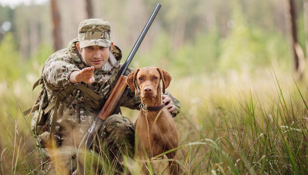 Most Essential Best Gun Dog Supplies for Game Hunters to Assist You Both on Hunts