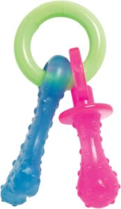 Nylabone Puppy Chew Teething Pacifier - Toys for Shih Tzu