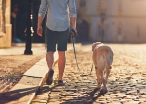 owner-walking-dog-with-dementia