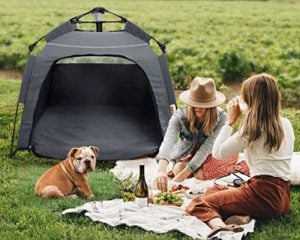 Pop Up Dog Tent by Plusvivo