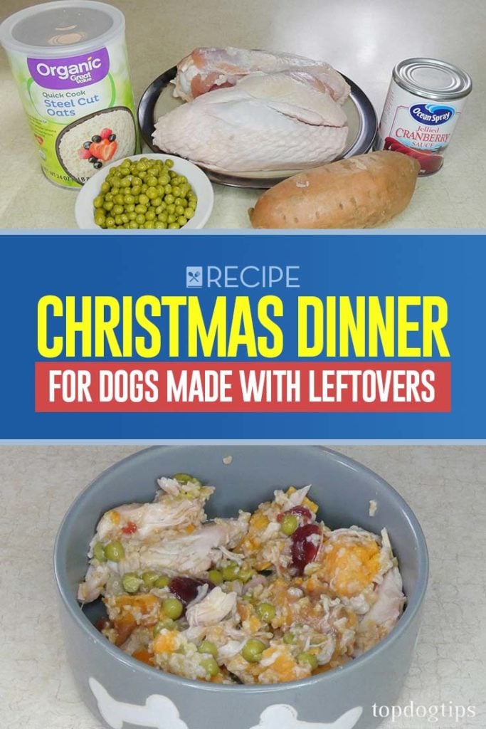 Recipe of Christmas Dinner for Dogs Made with Leftovers