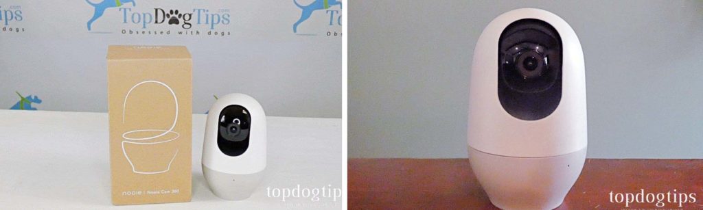 Review of Nooie Cam 360 WiFi Pet Camera