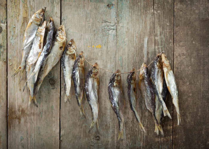 Risk of Dried Fish for Dogs