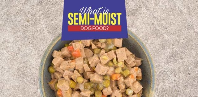 Semi-Moist Dog Food