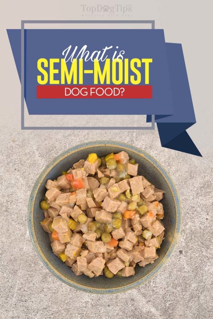 Semi Moist Dog Food - What Is It and When to Use It