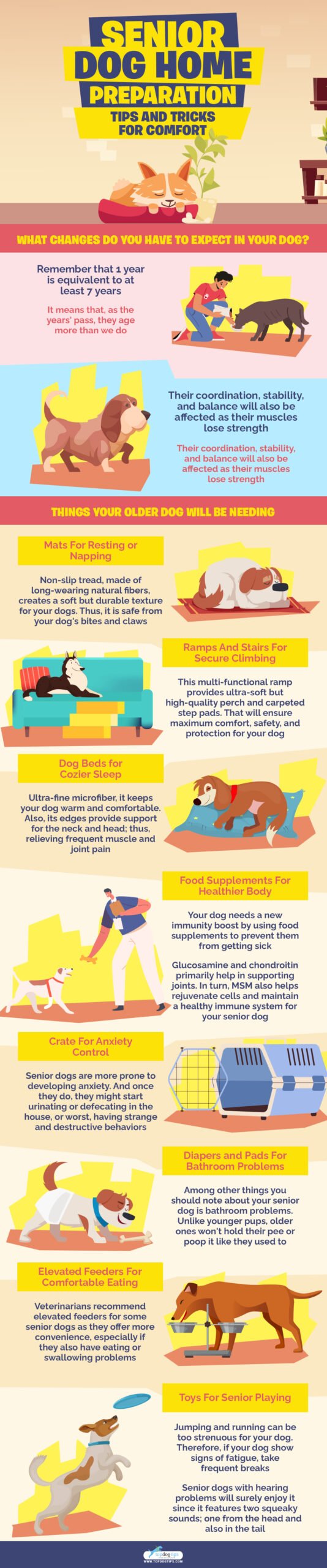 Senior Dog Home Preparation infographics